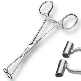 Septum Forceps